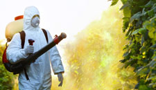 Fertilizers Fertilizers
